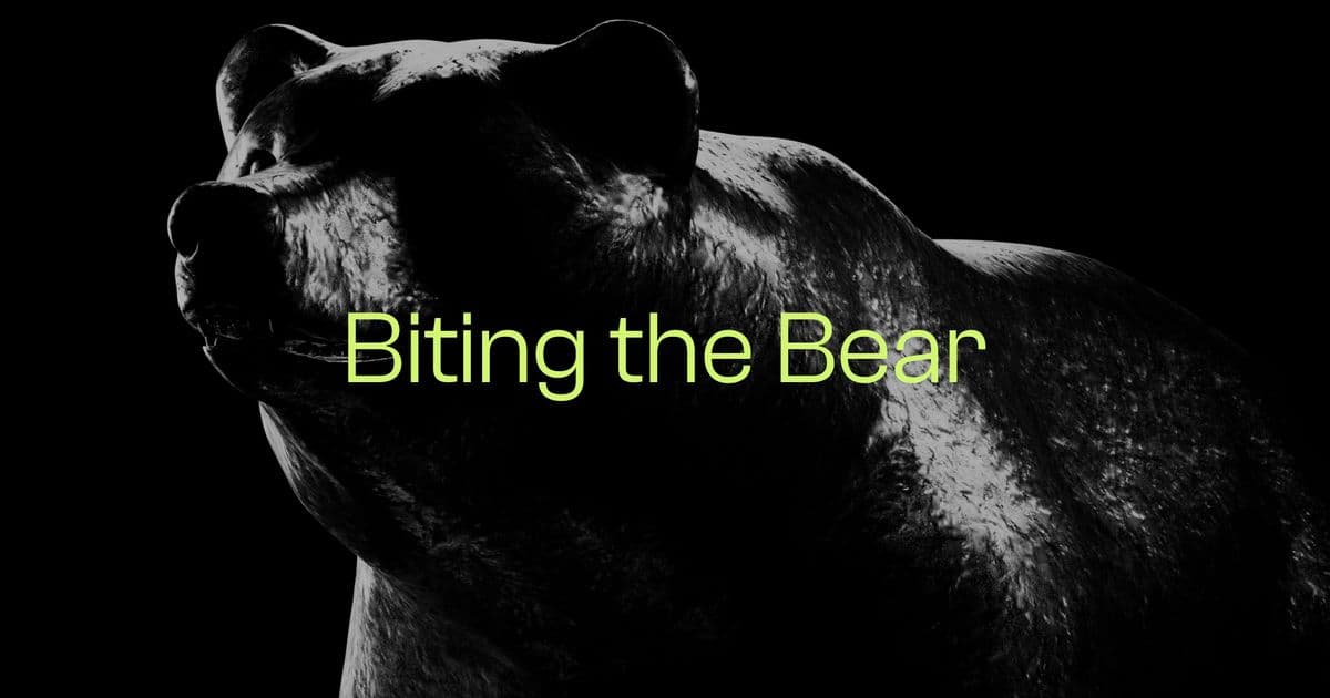 Featured image for Biting the Bear